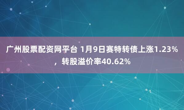 广州股票配资网平台 1月9日赛特转债上涨1.23%，转股溢价率40.62%