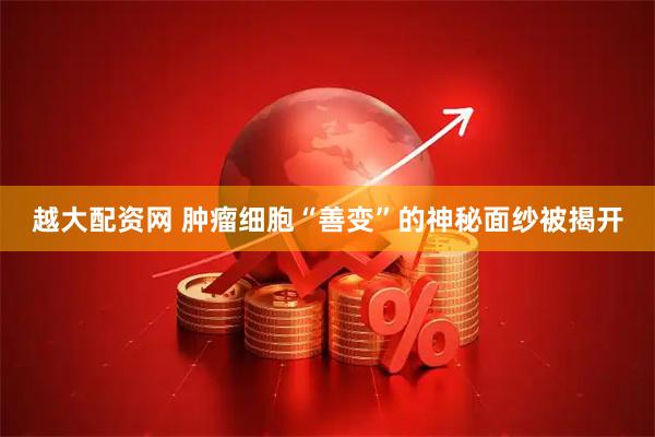 越大配资网 肿瘤细胞“善变”的神秘面纱被揭开